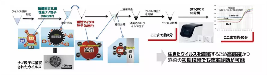 ウイルス粒子の捕捉濃縮精製法